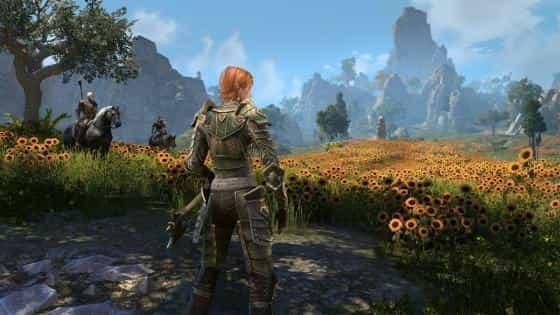 Elder Scrolls Online