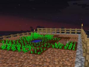 выращивание пшеницы в Mincraft